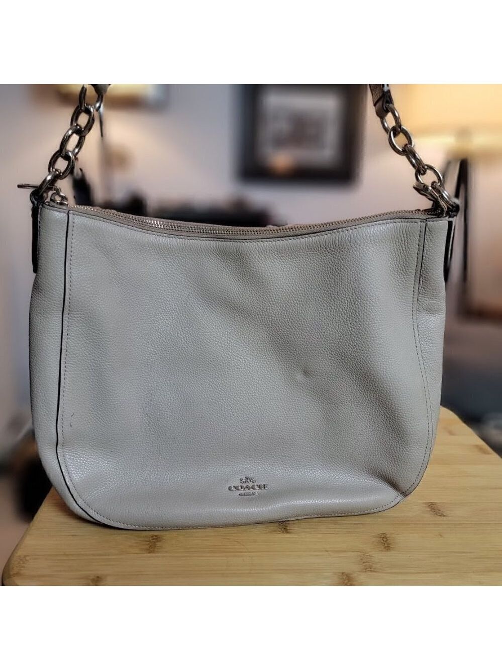 Coach Leather Elle Hobo Bag